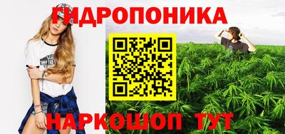 спиды Ливны