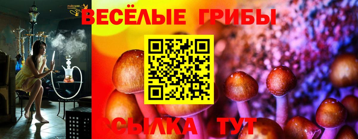 Ивантеевка  Галлюциногенные грибы Magic Shrooms  Галлюциногенные грибы Psilocybine cubensis  как найти   Вход с VPN 