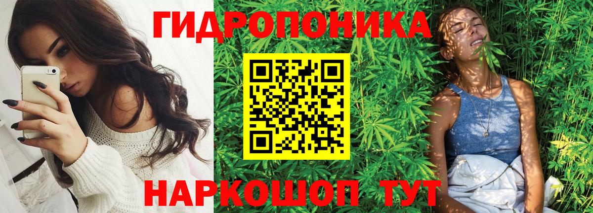 Бошки Шишки VHQ Ивантеевка